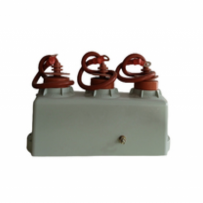 EHK-Vpk六柱式过电压保护器