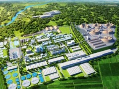 云投林纸年产50万吨化学浆项目可研报告顺利通过专家论证