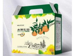 海口印刷厂 承接宣传彩页 海口手提袋印刷图3