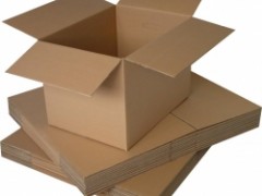 随州新康包装制品有限公司图2