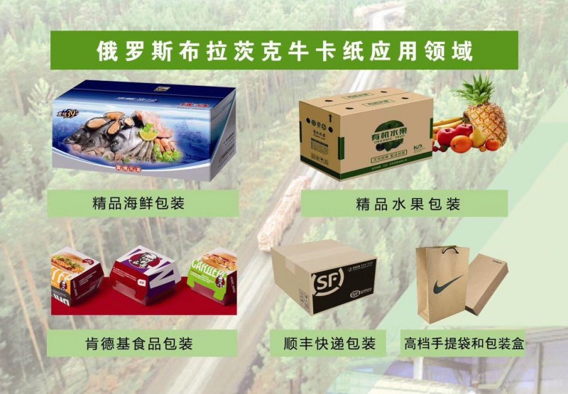 俄罗斯牛卡纸 手提袋牛皮纸 食品级牛皮纸 外卖袋牛皮纸图2
