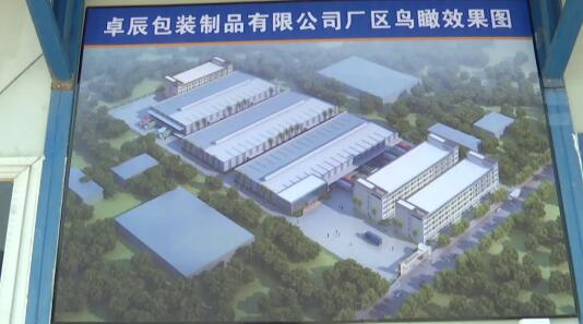 福建卓辰包装