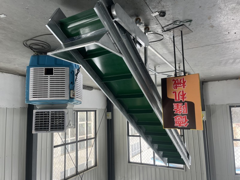 链板输送机网链提升机厂家定做图2