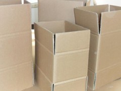2025前8个月 东莞纸及纸板制品出口额超48.6亿